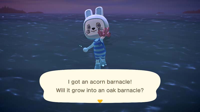 (Animal Crossing NH Acorn Barnacle)