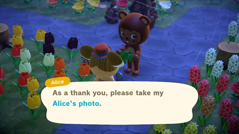 Animal Crossing: New Horizons Personality Guide