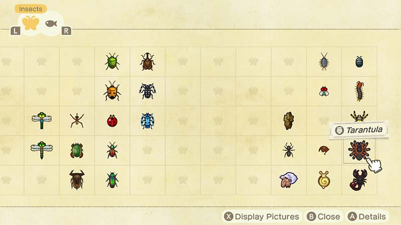 (Animal Crossing NH Insect Table Image)