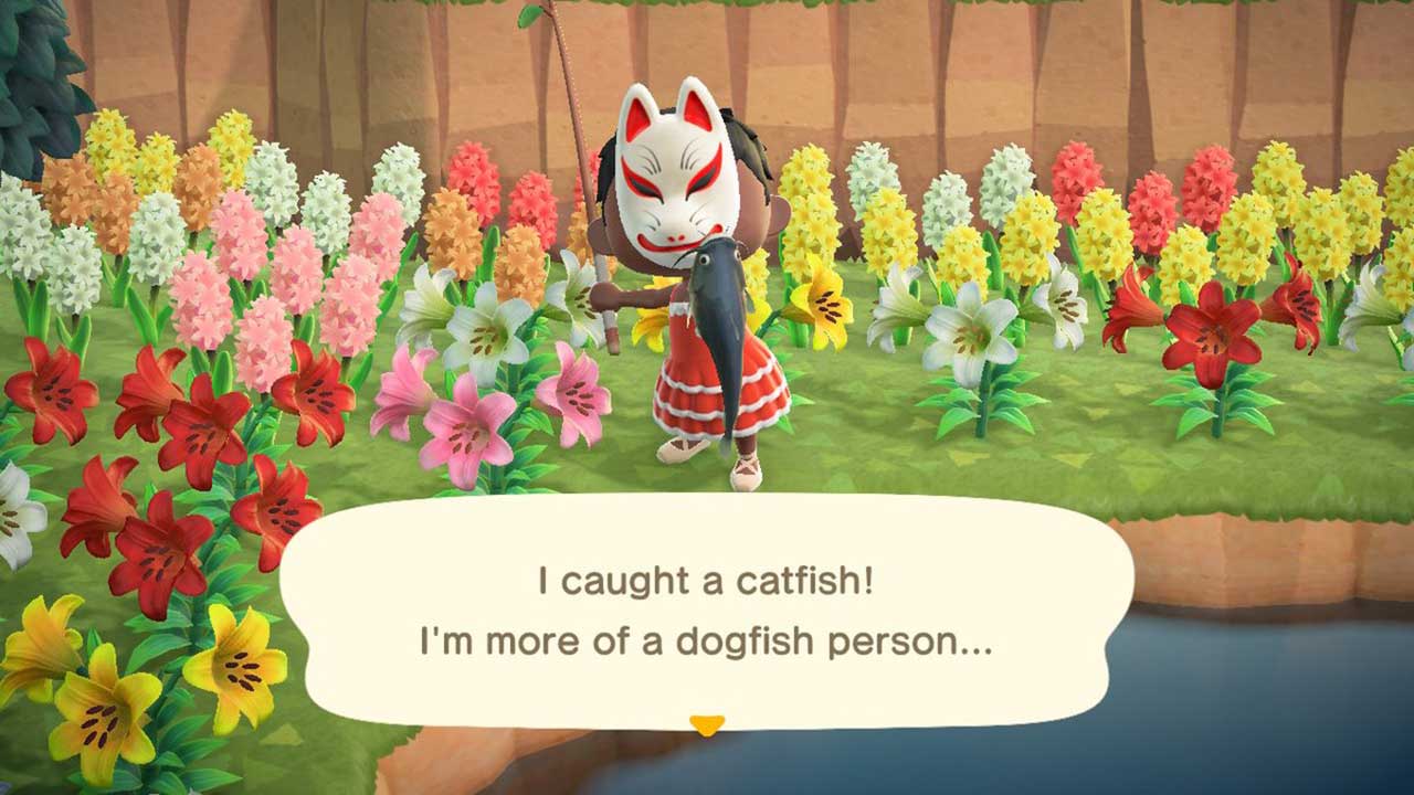(Animal Crossing NH Catfish Image)
