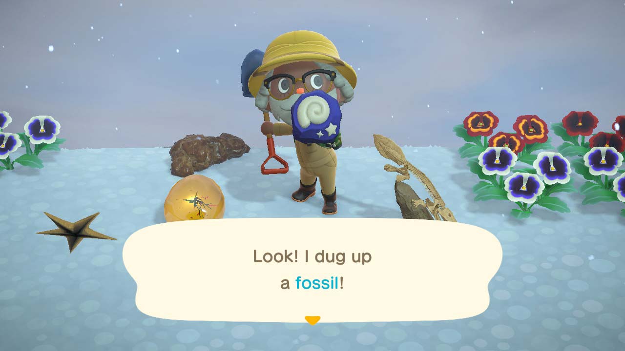 (Animal Crossing NH Fossil Image)
