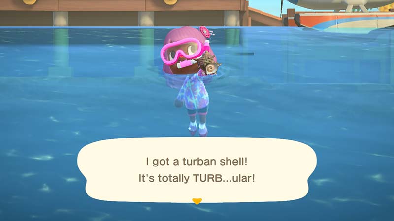 (Animal Crossing NH Turban Shell Image)