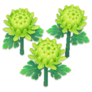 a green mum flower