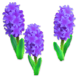 a purple hyacinth flower