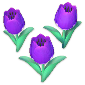 a purple tulip flower