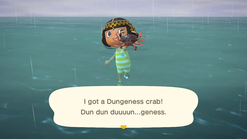 Animal Crossing Catch Quotes and Images