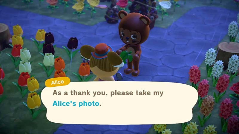 (Animal Crossing NH Alice Photo Image)