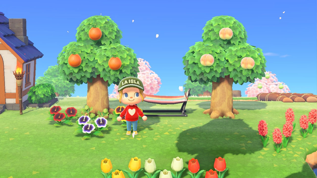 (Animal Crossing NH Fruit Image)